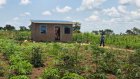 Ouganda: la réintégration des anciens rebelles partis en Centrafrique [3/3]