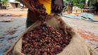 Côte d'Ivoire: fin de l’enlèvement des stocks résiduels de cacao, des organisations demandent des comptes