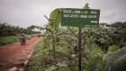 Une enquête internationale confirme les abus de Socfin en Afrique et en Asie