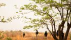 Au Nigeria, au moins 14 agriculteurs tués et 4 blessés lors d'une attaque djihadiste