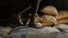 Les prix du riz continuent de chuter sous l'impulsion des volumes indiens