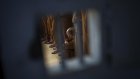 Les Français emmenés enfants en Syrie djihadiste demandent leur rapatriement