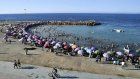 Algérie : une algue brune invasive recouvre les plages