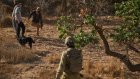 Israël: vote sur l’annexion de la Cisjordanie à la Knesset, Washington s’y oppose