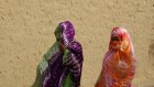 Voile obligatoire dans les transports: les Maliennes pourront-elles désobéir aux jihadistes du Jnim?
