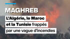 L'Algérie, le Maroc et la Tunisie frappés par une vague d'incendies