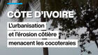 Côte d'Ivoire : l'urbanisation et l'érosion côtière menacent les cocoteraies