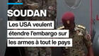 Soudan : les États-Unis veulent étendre l'embargo sur les armes à tout le pays