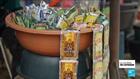 Interdiction de l'alcool en sachet Nigeria : une mesure appliquée ?