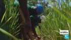 Togo : l'apprentissage à l'agroécologie devient populaire