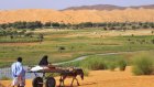 Agriculture: la Mauritanie s’engage sur la voie du blé