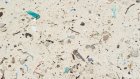 À quel point les plages sont-elles polluées par les plastiques ?