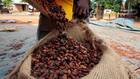 Ghana : le prix du cacao en hausse