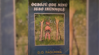 Créer en langues africaines: Nigeria, littérature en yoruba et roman fondateur de D.O. Fagunwa [1/5]