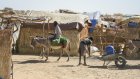Soudan: les réfugiés au Tchad subissent «la pire crise humanitaire du monde», selon une ONG