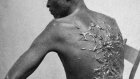 États-Unis: une célèbre photographie d'un esclave fouetté au 19e siècle interdite par l'administration Trump