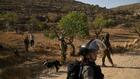 En Cisjordanie, des soldats israéliens aident des colons à s'emparer d'oliveraies palestiniennes