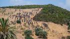Maroc : 294 migrants, dont 248 Subsahariens, interpellés près de la frontière avec Ceuta