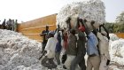 Burkina Faso: la Socoma, la deuxième société cotonnière du pays, annonce la suspension de ses activités