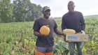 À Rennes, des migrants sans-papiers cultivent la solidarité