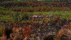 Incendies: situation stable dans le Var et en Gironde, les pompiers poursuivent leurs efforts