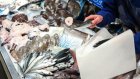 Que signifie vraiment le label MSC sur les étiquettes de poisson?