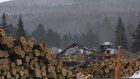 Le bois de construction et l'ameublement, nouvelles cibles des droits de douane de Donald Trump