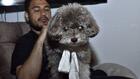 Colombie : une femme meurt pour sauver son chien du tremblement de terre
