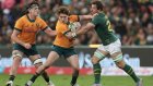 Rugby Championship: l'Australie renverse l'Afrique du Sud chez elle