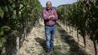 Des vendanges 5 étoiles mais des caves déjà pleines: les vignerons italiens s'interrogent