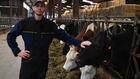 La sécheresse fait bouillir l'éternelle bataille du prix du lait
