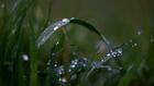 Autour d'Evian, 30 ans d'adaptation des pratiques agricoles pour protéger l'eau minérale