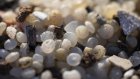 Le Parlement européen adopte des règles plus strictes contre la pollution aux microplastiques