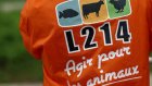 Broyage de poussins: L214 porte plainte contre un couvoir des Deux-Sèvres