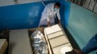Accalmie à la frontière entre Afghanistan et Pakistan après un cessez-le-feu