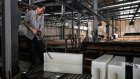 En Chine, la canicule accélère les ventes des usines de glace