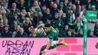Rugby: intraitable, l'Afrique du Sud concasse l'Irlande