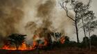 Le Brésil enquête sur une flambée d'incendies criminels en Amazonie