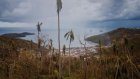 Six mois après Chido, la végétation repousse fragilement à Mayotte