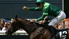 Prix de Diane : victoire de la pouliche française Gezora , championne d'Europe sur 2.100 mètres