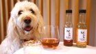 Nouvelle-Zélande: du vin sans alcool pour animaux, une idée qui a du chien
