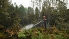 La bataille contre le feu continue dans les Landes, la lutte au sol privilégiée dimanche