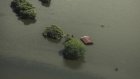 Des grands-parents rescapés des inondations au Mexique, symbole d'espoir
