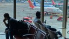 Un Indien arrêté avec une centaine d'animaux sauvages à l'aéroport de Bombay