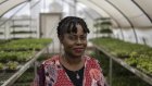 La Nigériane Mercy Diebiru-Ojo mène la révolution du manioc en Afrique