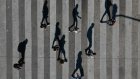 En marchant, les humains bougent plus que tous les animaux sauvages terrestres