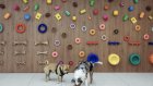 La piscine à balles, gros succès chez les bulldogs: à Paris, l'émergence de garderies pour chiens