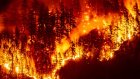 Les feux de forêt détériorent la qualité de l'air à des milliers de kilomètres, selon l'ONU