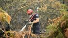 Landes : l'incendie est fixé, des évacués rentrent à Luglon