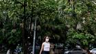 Hanoï taille ses arbres emblématiques, assailli par leur parfum